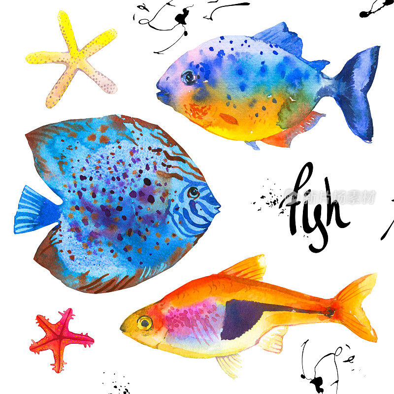 Set of tropical marine fish. Watercolor illustration with hand drawn aquarium exotic  on white backgroun